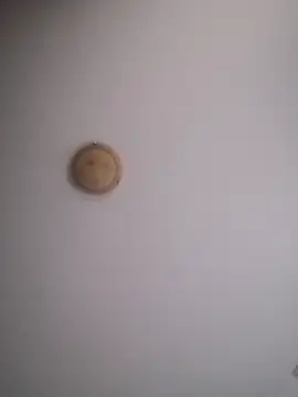 Snapshot of yourflowerpink chatting on 29, 11, 2025 yourflowerpink online show from 29, 11, 2025