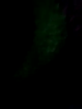 Snapshot of royall_queen chatting on 14, 1, 2026 royall queen online show from 14, 1, 2026