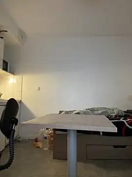 Renoirmonter online show from 7, 11, 2025