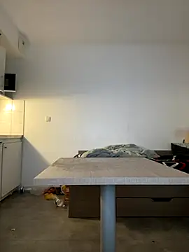 Renoirmonter online show from 11, 11, 2025