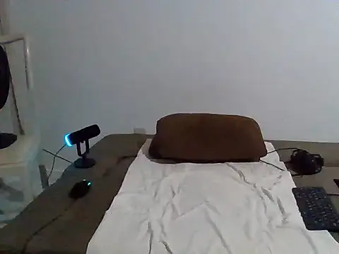 Snapshot of Mdbisc8 chatting on 7, 11, 2025 Mdbisc8 online show from 7, 11, 2025