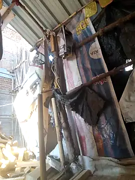 hot integer online show from 11, 2, 2026