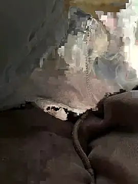 bambi lu online show from 5, 3, 2026