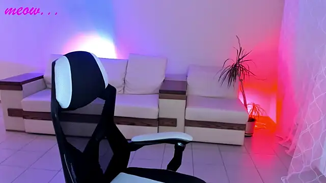 SweetMeeow online show from 6, 11, 2025