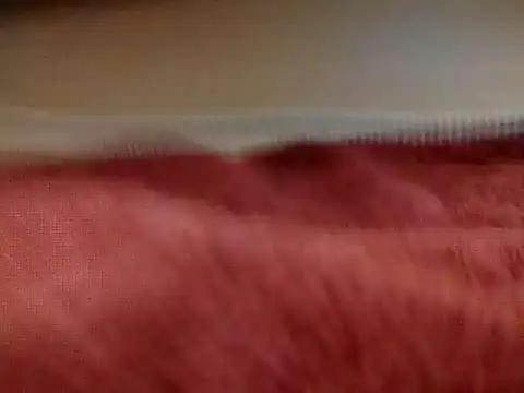 Snapshot of sexiebabi chatting on 16, 3, 2026 sexiebabi online show from 16, 3, 2026