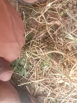 Snapshot of perplexedsoul chatting on 1, 12, 2025 perplexedsoul online show from 1, 12, 2025