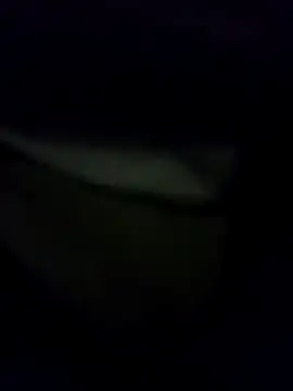 Hema0Hema online show from 21, 2, 2026