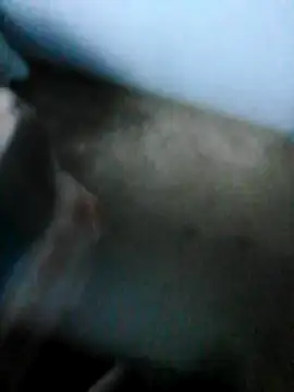 Snapshot of mydickbedarkandthick chatting on 21, 11, 2025 mydickbedarkandthick online show from 21, 11, 2025