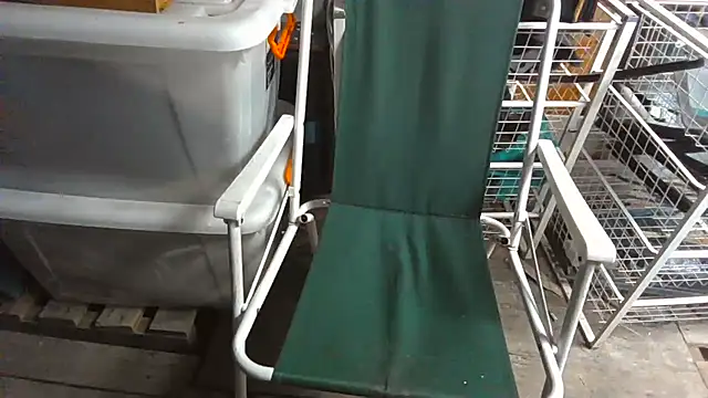 Lovyourpuss online show from 19, 2, 2026