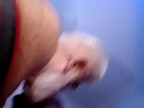 Snapshot of CloudyMuscleBeefy chatting on 26, 11, 2025 CloudyMuscleBeefy online show from 26, 11, 2025