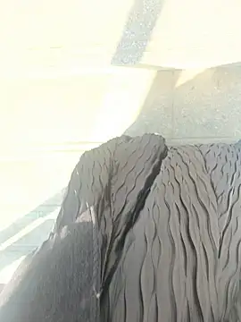 xiaoyuan01 online show from 9, 1, 2026