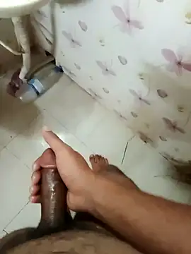 zim200 online show from 11, 4, 2026