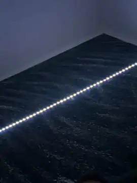 20cmdicazzo online show from 5, 3, 2026