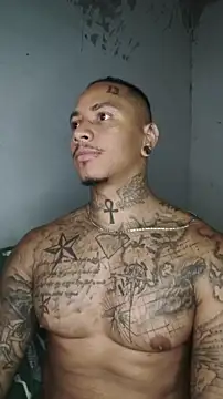 David tatto1 online show from 3, 3, 2026