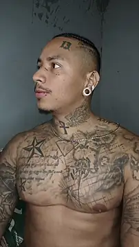 David tatto1 online show from 13, 3, 2026