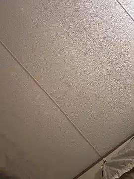 daddyLeeandprincessmarie online show from 7, 11, 2025