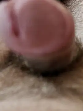 usedseller online show from 4, 4, 2026