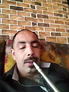 salimbasha online show from 17, 5, 2026