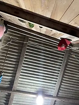 CataleyaJonnes online show from 11, 9, 2025