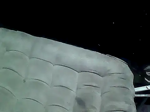 20cmloiro online show from 12, 1, 2026