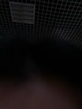 Liza Will online show from 20, 2, 2026