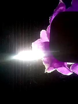 Ridick2025 online show from 8, 10, 2025