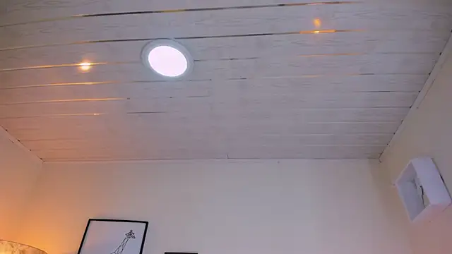 LusyKitty online show from 2, 12, 2025