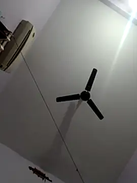 monster-dickk online show from 2, 12, 2025