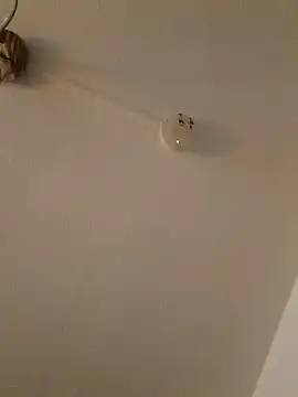 Snapshot of LightskinBumpa chatting on 15, 11, 2025 LightskinBumpa online show from 15, 11, 2025