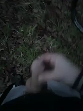 Disturbeeflarge online show from 15, 1, 2026