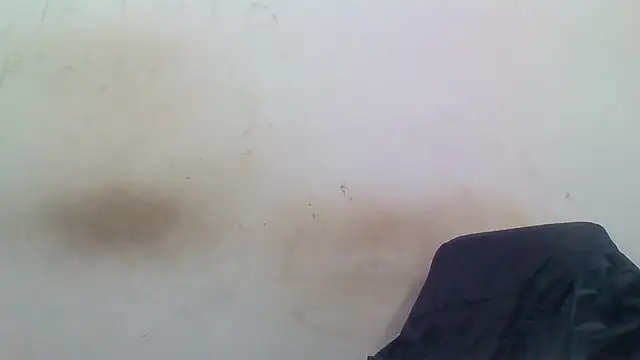 Snapshot of sasatimido chatting on 3, 12, 2025 sasatimido online show from 3, 12, 2025