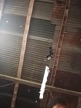 Davir2001 online show from 1, 3, 2026