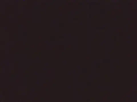 Laurenflex online show from 3, 10, 2025