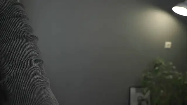 lisa schiele online show from 3, 12, 2025