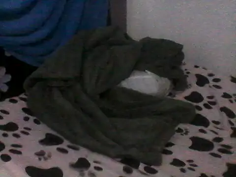 jade tall online show from 19, 10, 2025