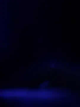 curis4270panda online show from 19, 2, 2026