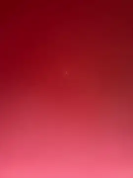 curis4270panda online show from 4, 3, 2026