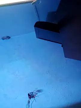 melisa hot420 online show from 8, 11, 2025