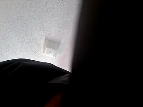 wodash9921 online show from 22, 10, 2025