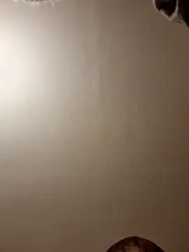 Snapshot of gazb90 chatting on 14, 11, 2025 gazb90 online show from 14, 11, 2025