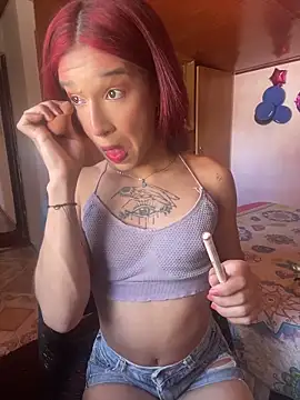 terra sunligth online show from 20, 4, 2026