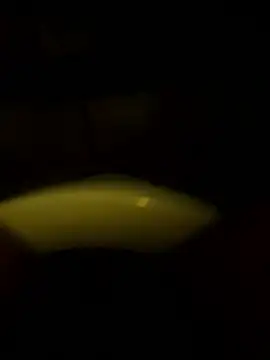 Cock4LadiesONLY online show from 11, 10, 2025