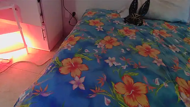 SatiroyNinfa online show from 8, 4, 2026