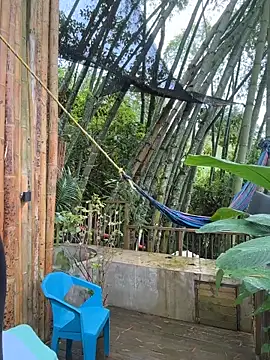 Rose-andres online show from 1, 2, 2026