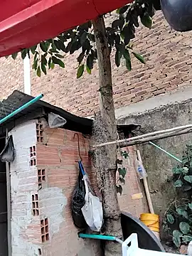 You-sexy-starr online show from 9, 10, 2025