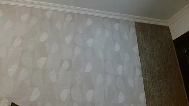 Snapshot of elamurray chatting on 4, 11, 2025 elamurray online show from 4, 11, 2025