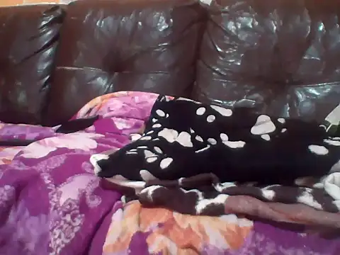 Snapshot of PREDADOR76 chatting on 10, 10, 2025 PREDADOR76 online show from 10, 10, 2025