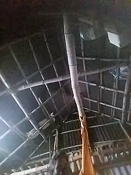 Tamilauntyhot online show from 19, 11, 2025