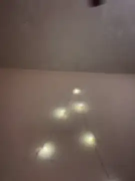 aka big online show from 14, 2, 2026