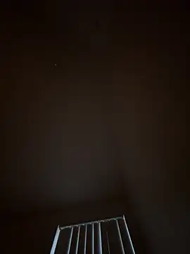 julio p online show from 14, 2, 2026